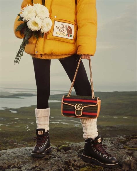 doudoune gucci tnf|gucci north face campaign.